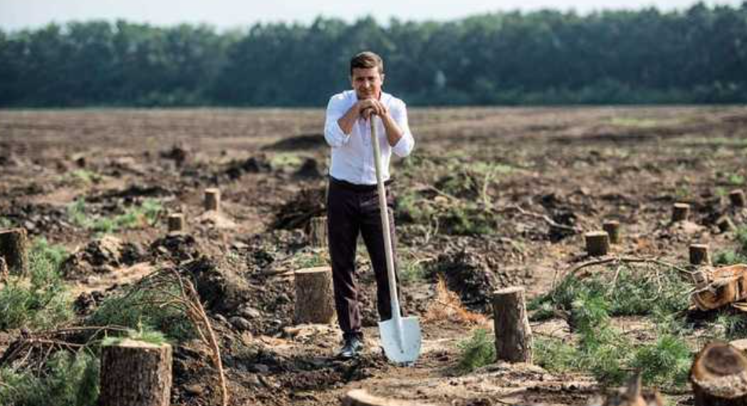 Зеленський підписав указ про висадку в Україні 1 млрд дерев